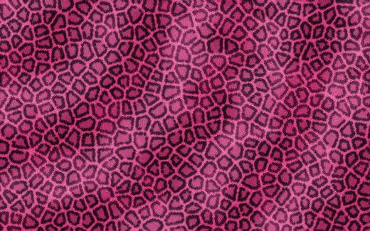 583989 (a): :1920x1200